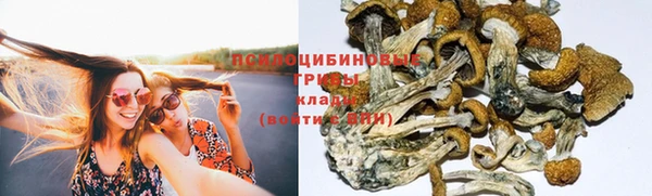 первитин Балахна