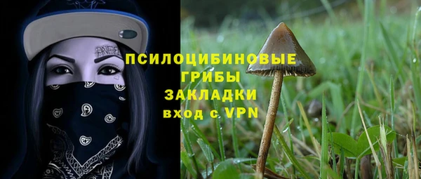 хмурый Балабаново