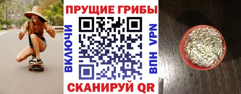 Купить где  Нолинск  Псилоцибиновые грибы прущие грибы 