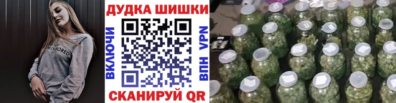 Купить где  Нолинск  Конопля AK-47 